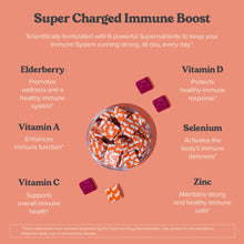 Load image into Gallery viewer, Immune Support Chews
